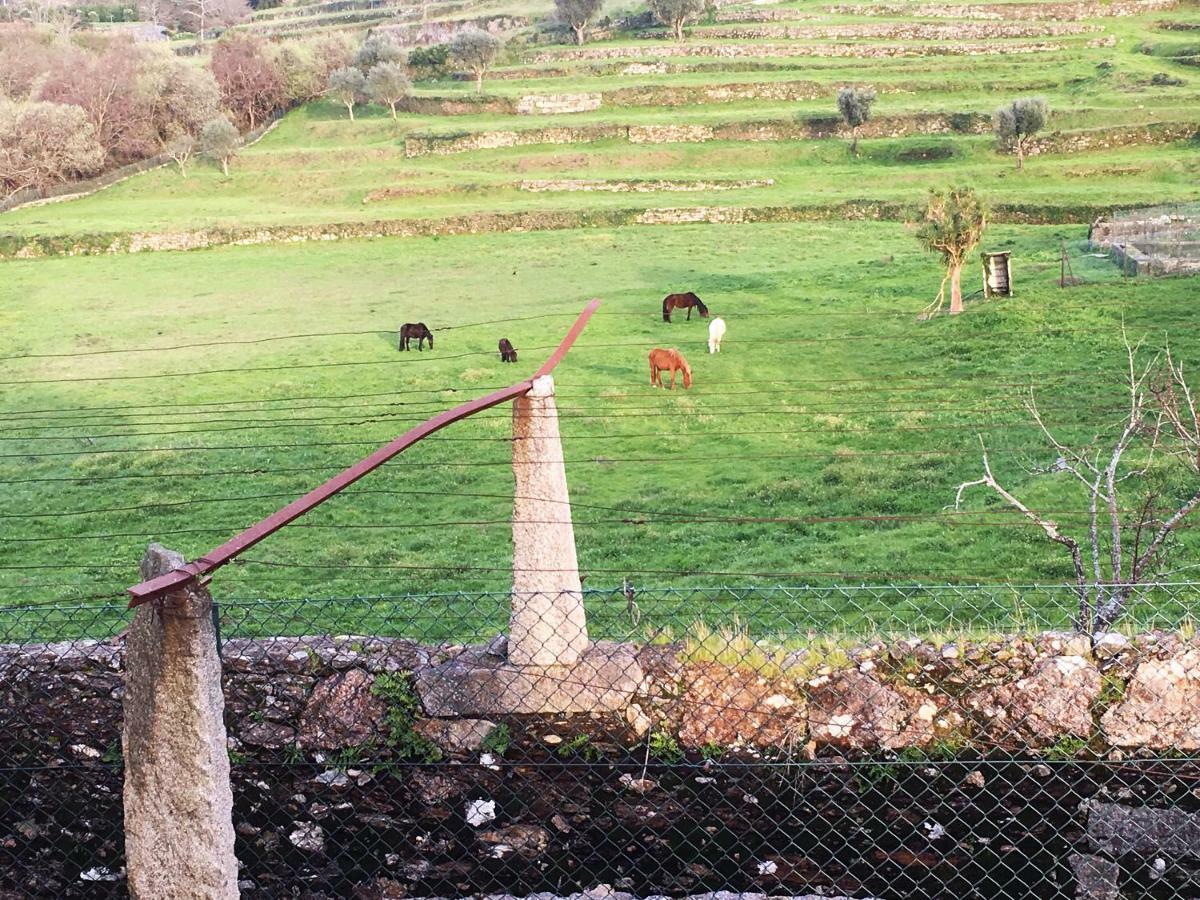 Casas Da Loureira - Casa Do Antonio E Pascoal Vila Nova de Cerveira