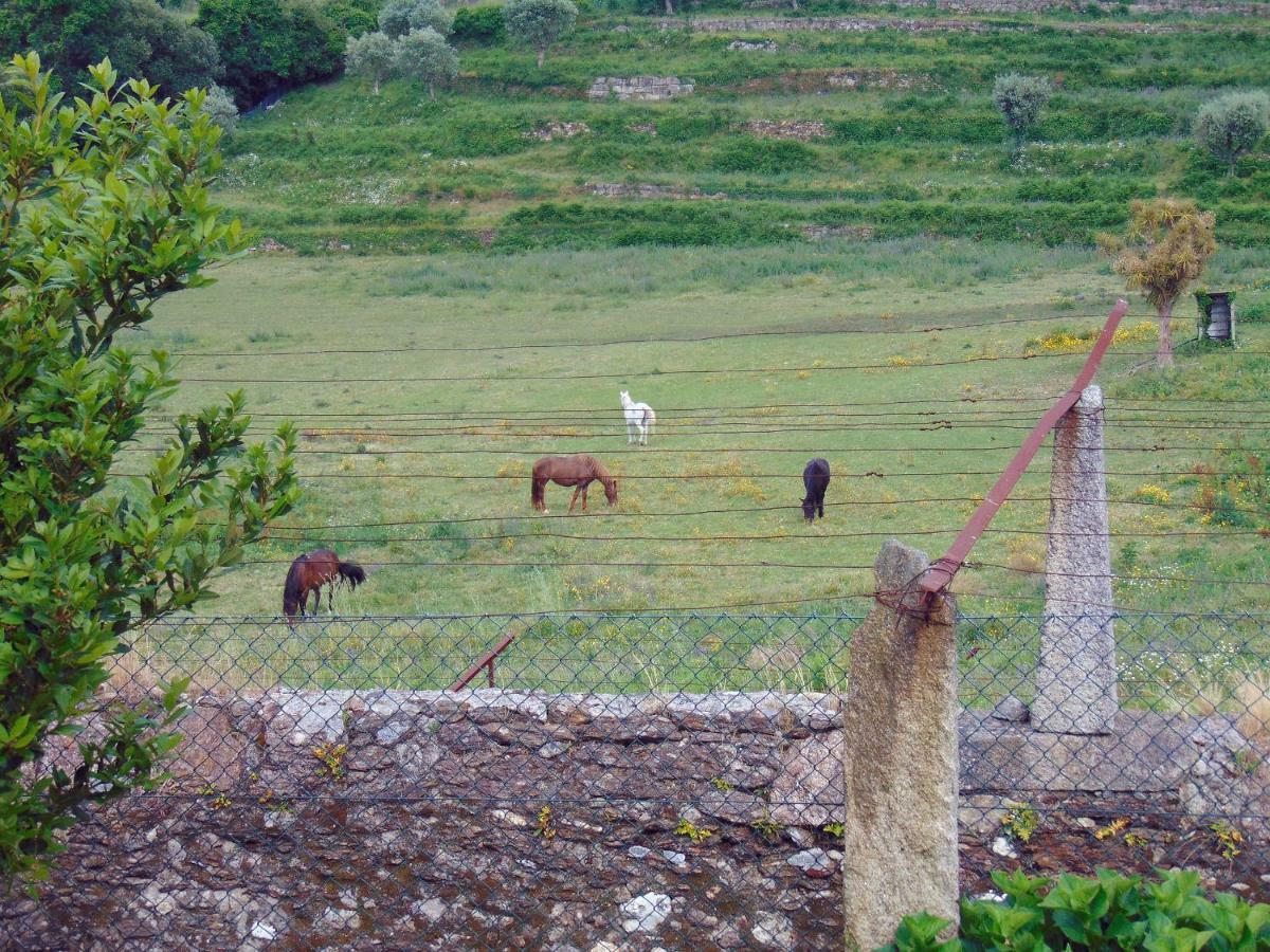 Casas Da Loureira - Casa Do Antonio E Pascoal Vila Nova de Cerveira